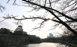 Burg von Osaka in Osaka, Japan foto