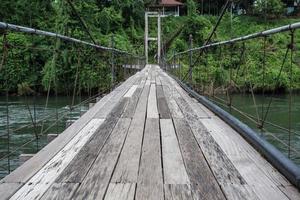 Brücke in den Dschungel foto