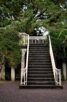 schöne treppe im garten in schottland foto