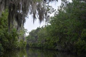 Kanalnavigation durch den Sumpf in Louisiana foto