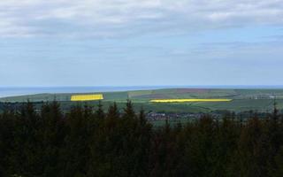 geschichtete bunte Felder mit Raps und Landwirtschaft foto