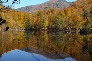 buyuk see im yedigoller nationalpark, bolu, türkei foto