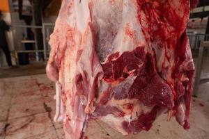 selektiver Fokus auf frisches hängendes Rindfleisch, das als Ergebnis des Eid al-Adha-Opfers geschlachtet wurde oder auf dem Markt verkauft wird. Weicher Fokus foto