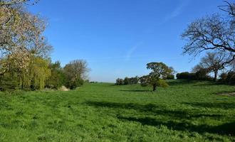 große Rasenfläche in der englischen Landschaft im Frühjahr foto