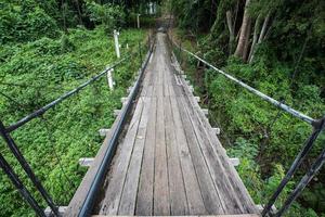 Brücke in den Dschungel foto