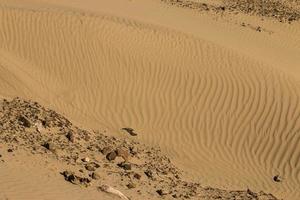 abstraktes Detail aus Sand in den Dünen foto