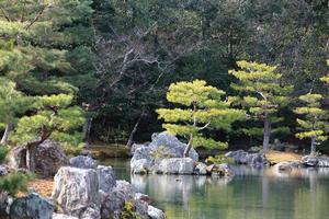 Japanischer Garten am berühmten Kinkakuji foto