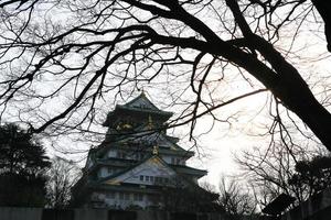 Burg von Osaka in Osaka, Japan foto