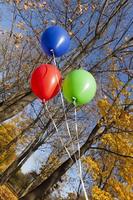 rote blaue grüne Luftballons foto