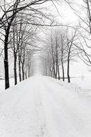 Winterstraße, Schnee foto