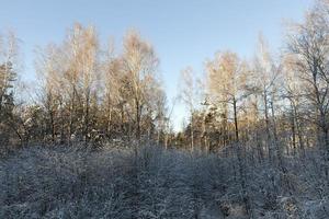 Schneeverwehungen im Winter foto