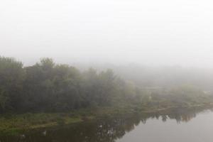 Nebel, Nahaufnahme foto
