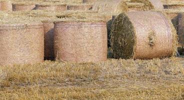 Stapel Stroh auf dem Feld foto