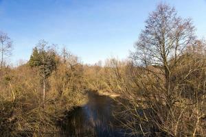 Fluss im Februar, Nahaufnahme foto