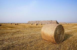 Stapel Stroh auf dem Feld foto