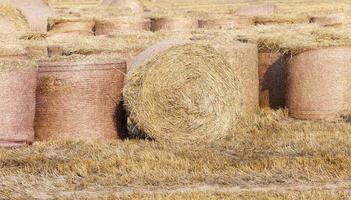 Stapel Stroh auf dem Feld foto