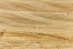 Feld nach der Ernte foto