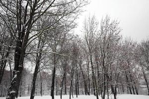 Schneeverwehungen im Winter foto