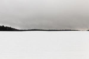 Nebel im Winter foto