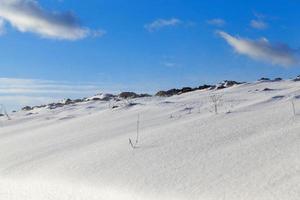 Schnee im Winter foto