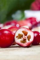 Fruchtfleisch und Samen von reifen sauren Preiselbeeren foto