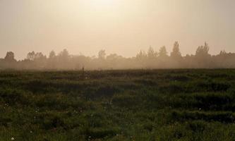 Landschaft mit Sonnenuntergang foto