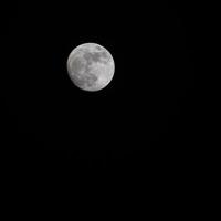 Mondzeitraffer, Zeitraffer auf Lager - Vollmondaufgang im dunklen Naturhimmel, Nachtzeit. Vollmondscheiben-Zeitraffer mit Mondlicht im dunklen schwarzen Nachthimmel. hochwertiges kostenloses Videomaterial oder Zeitraffer foto