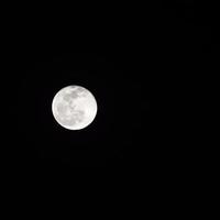 Mondzeitraffer, Zeitraffer auf Lager - Vollmondaufgang im dunklen Naturhimmel, Nachtzeit. Vollmondscheiben-Zeitraffer mit Mondlicht im dunklen schwarzen Nachthimmel. hochwertiges kostenloses Videomaterial oder Zeitraffer foto