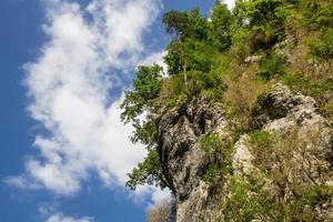 grüne Baumkrone über blauem Himmel und Wolkenhintergrund im Sommer foto