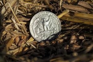 Amerikanische Münzen sind Cent foto