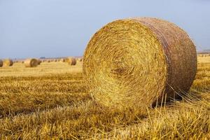 landwirtschaftliches Feld mit Strohstapeln foto