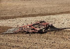 Traktor im Feld foto