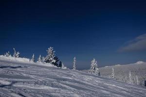 Sonniger Wintermorgen in den Bergen von Sheregesh auf der Skipiste foto