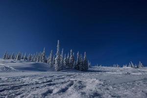 Sonniger Wintermorgen in den Bergen von Sheregesh auf der Skipiste foto