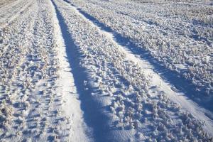 Schneeverwehungen im Winter foto