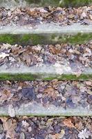 alte Treppe, Herbst foto