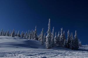 Sonniger Wintermorgen in den Bergen von Sheregesh auf der Skipiste foto