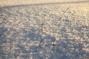 Schneeverwehungen im Winter foto