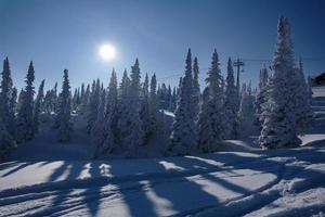 Sonniger Wintermorgen in den Bergen von Sheregesh auf der Skipiste foto