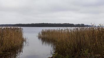 Herbst bei bewölktem Wetter foto