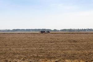 Verarbeitung landwirtschaftlicher Flächen foto