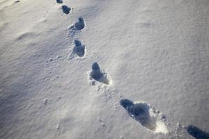 Fußspuren auf Schneeverwehungen nach dem Gehen foto