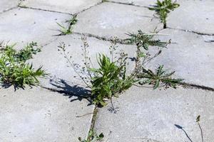 eine Straße aus Betonplatten foto