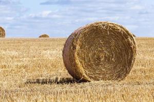 landwirtschaftliches Feld mit Strohstapeln foto