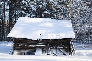 alter Holzschuppen foto