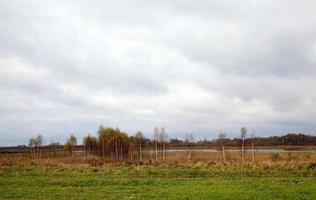 Herbstlandschaft, Wald foto