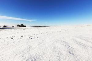 Ländliches Feld mit Schnee bedeckt foto