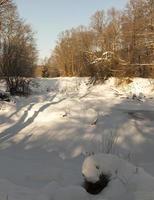 schnee- und eisbedecktes Gras foto