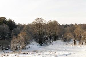 gefrorenes Wasser im Fluss bei Frost foto