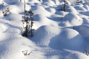 tiefe Verwehungen von weichem Schnee in der Wintersaison foto